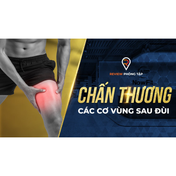 Nguyên Nhân Chấn Thương Cơ Vùng Sau Đùi