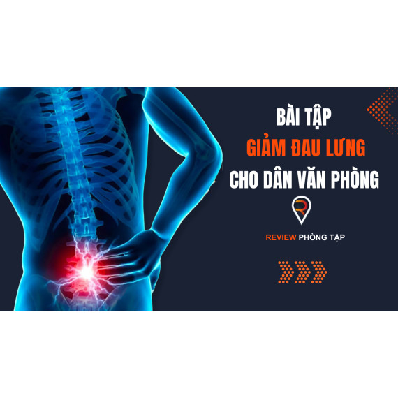 Bài Tập Giảm Đau Lưng Cho Dân Văn Phòng