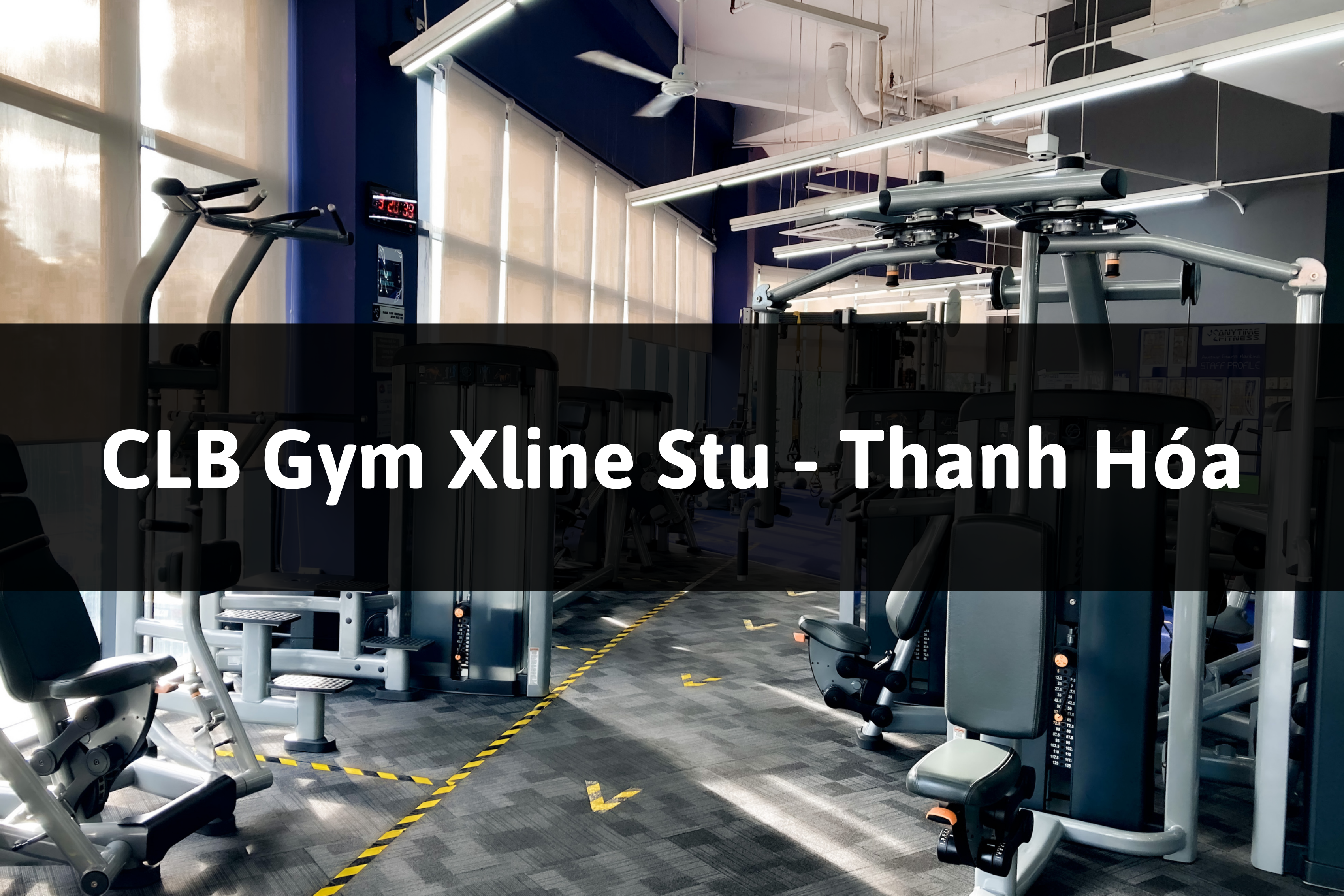 CLB Gym Xline Stu TP Thanh Hóa, Thanh Hóa