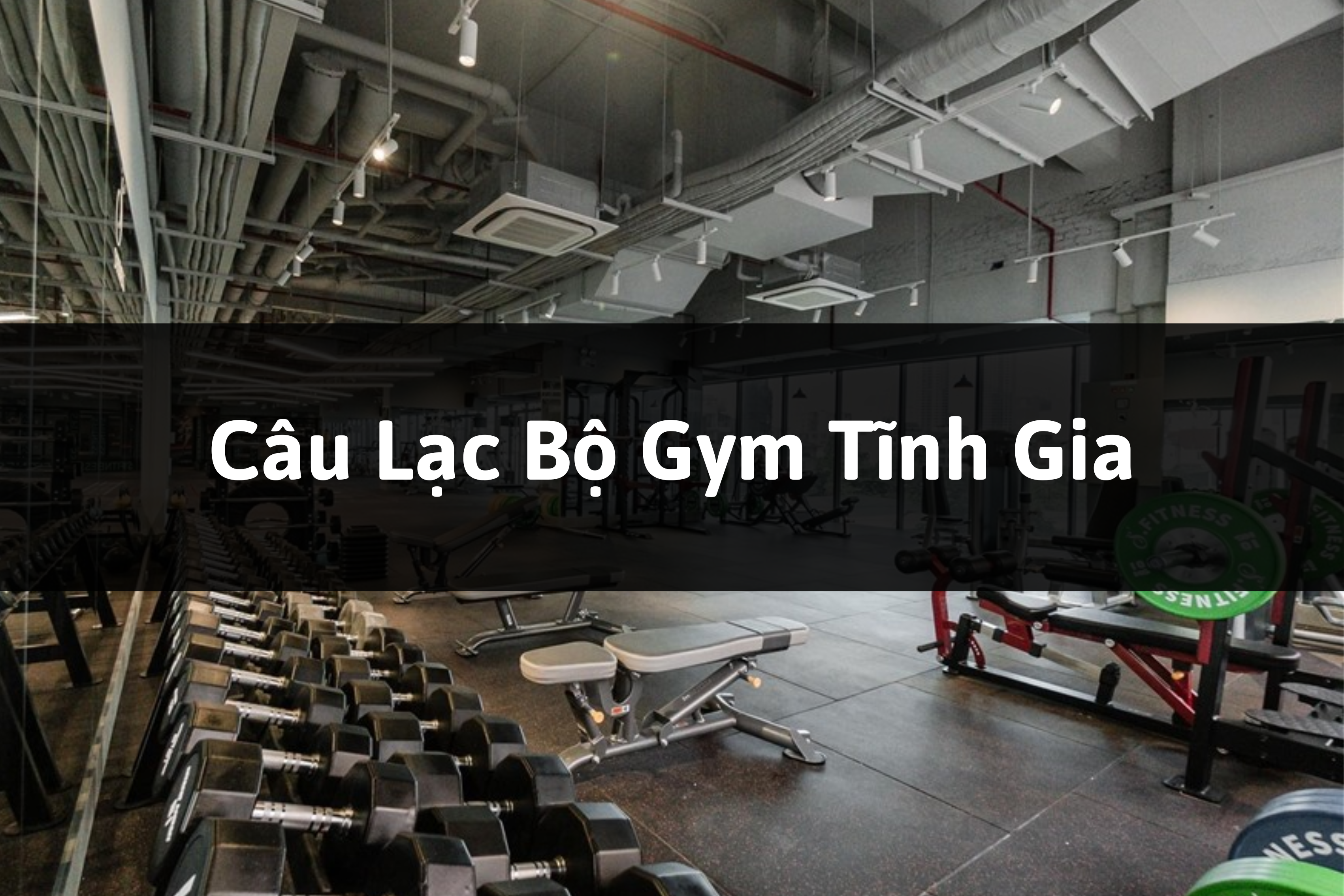 Câu Lạc Bộ Gym Tĩnh Gia, Tĩnh Gia, Thanh Hóa