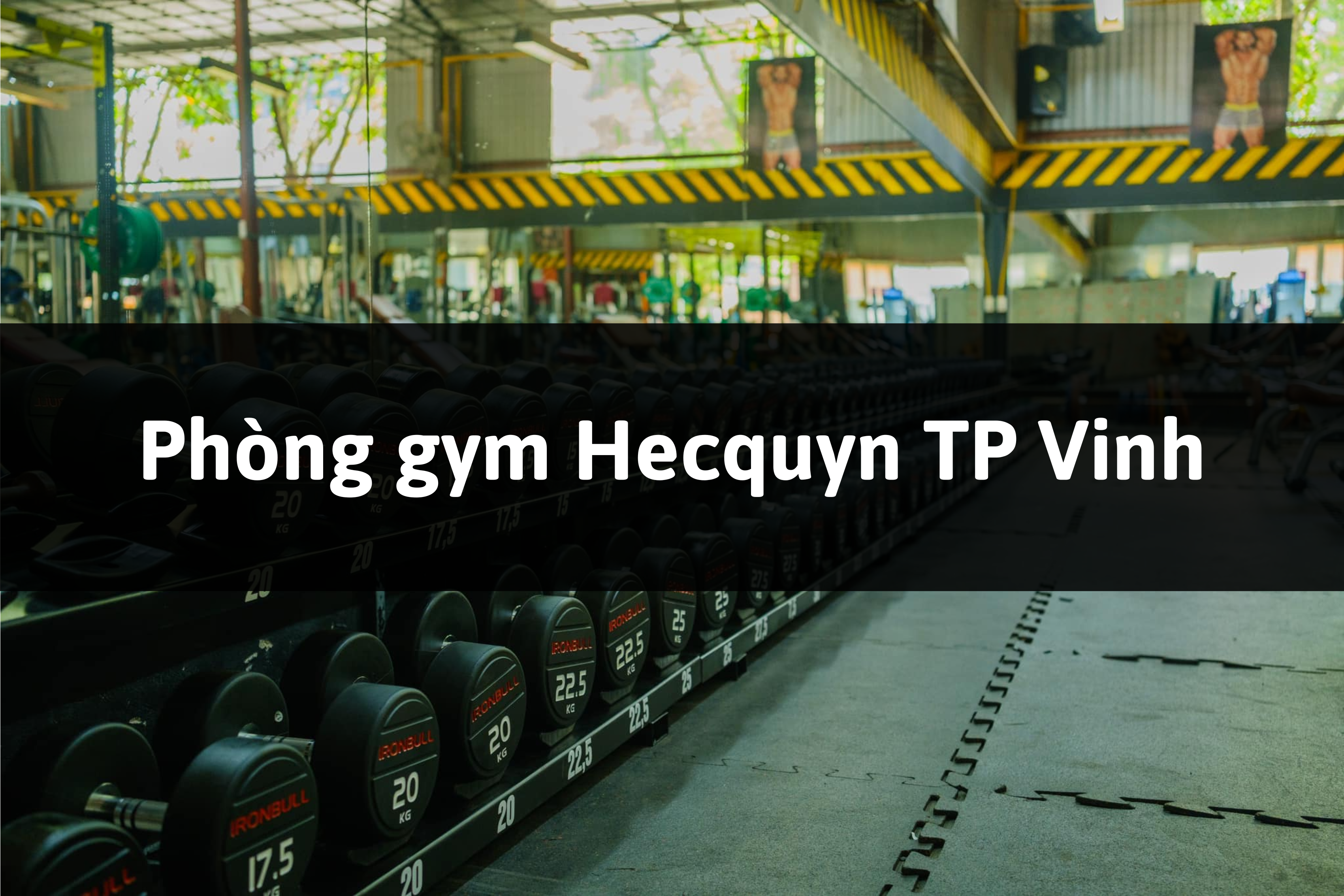 Phòng gym Hecquyn, TP Vinh, Nghệ An