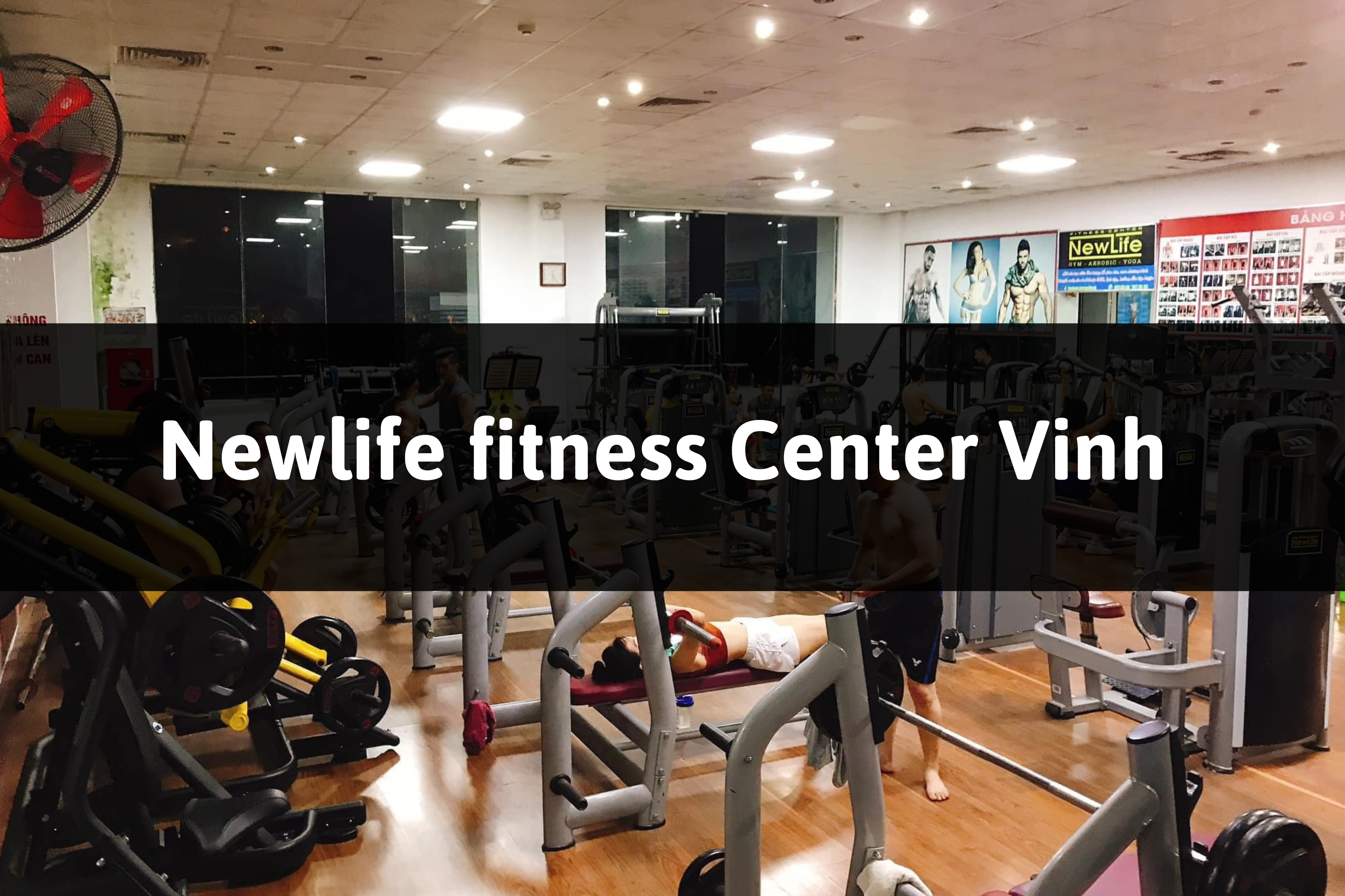 Newlife fitness Center, TP Vinh, Nghệ An