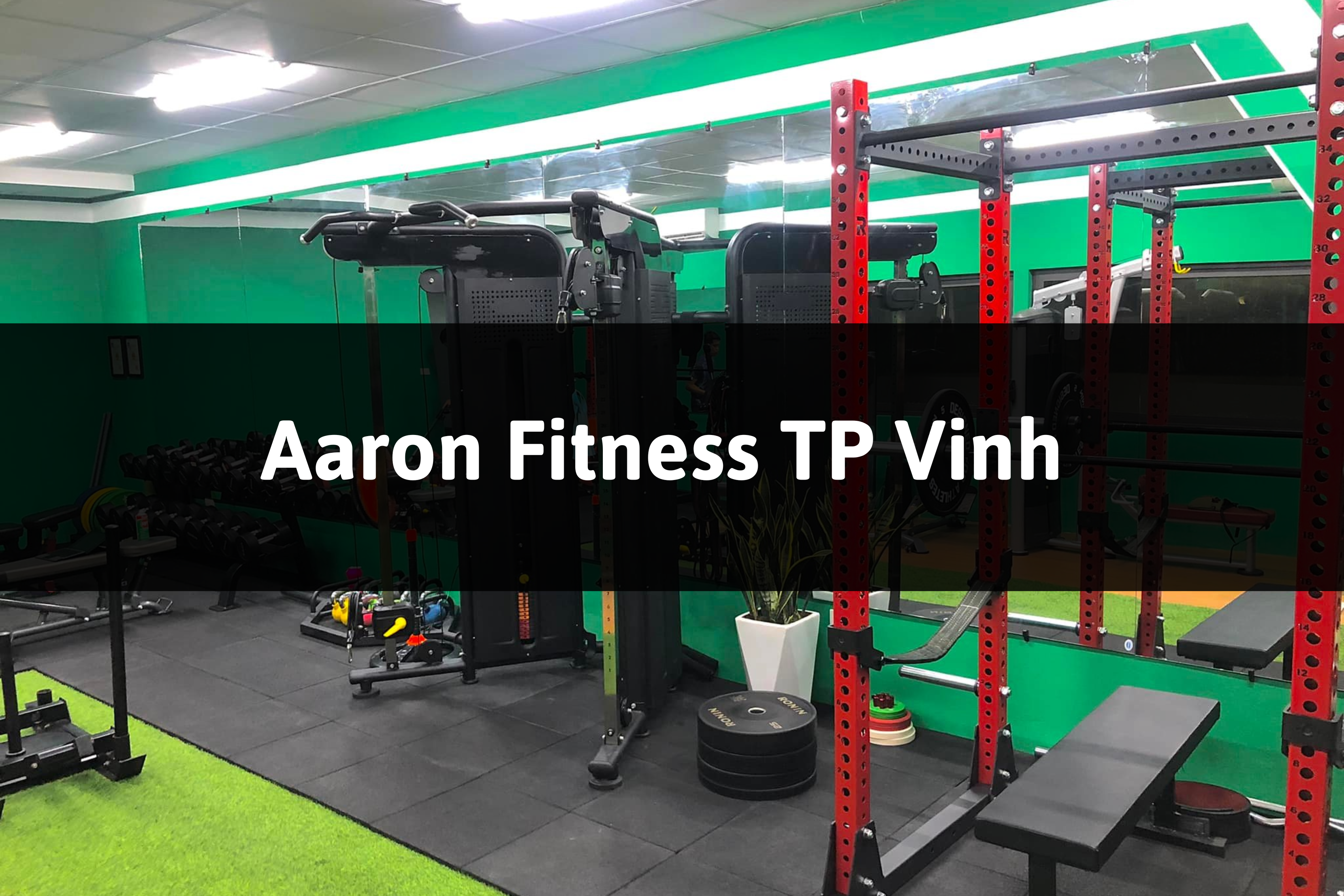 Aaron Fitness, TP Vinh, Nghệ An