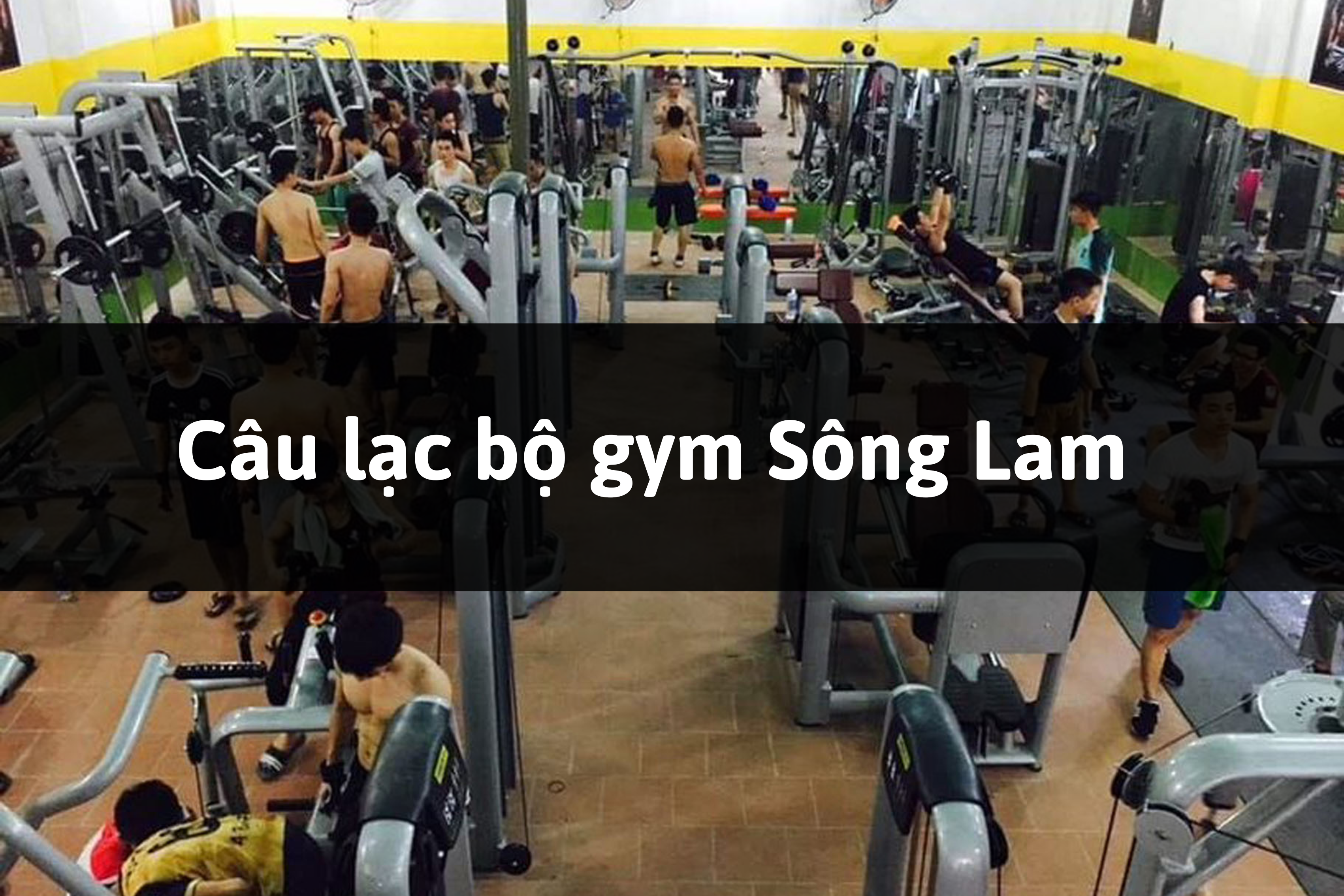 Câu lạc bộ gym Sông Lam, Đô Lương, Nghệ An