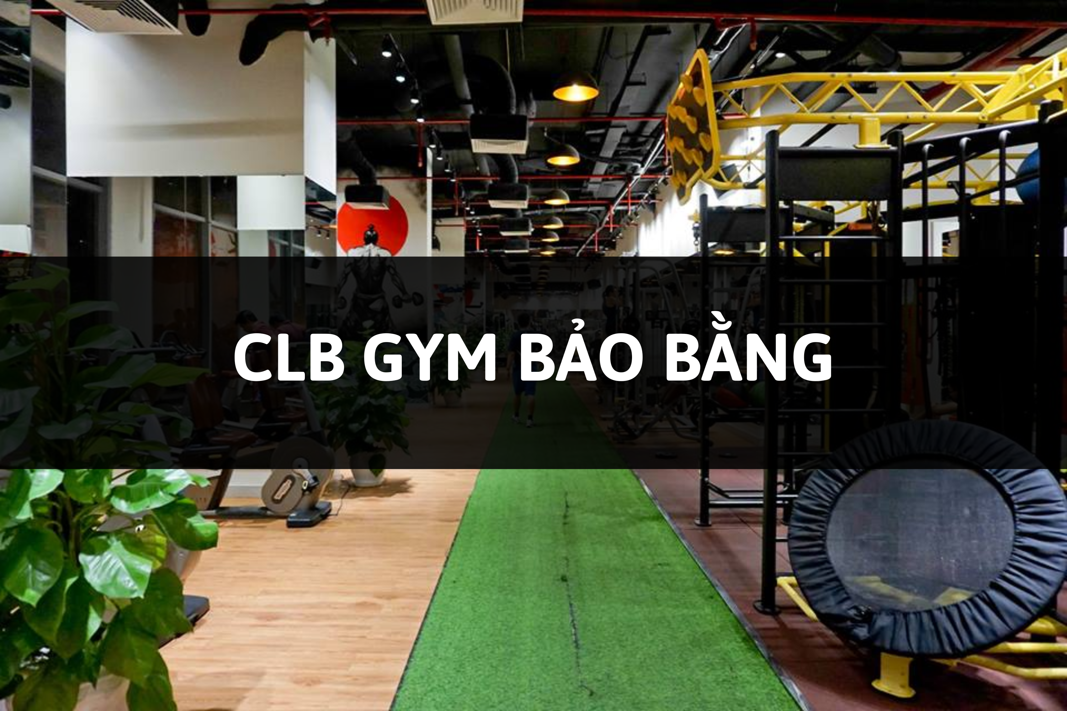 CLB GYM BẢO BẰNG, Cửa Lò, Nghệ An