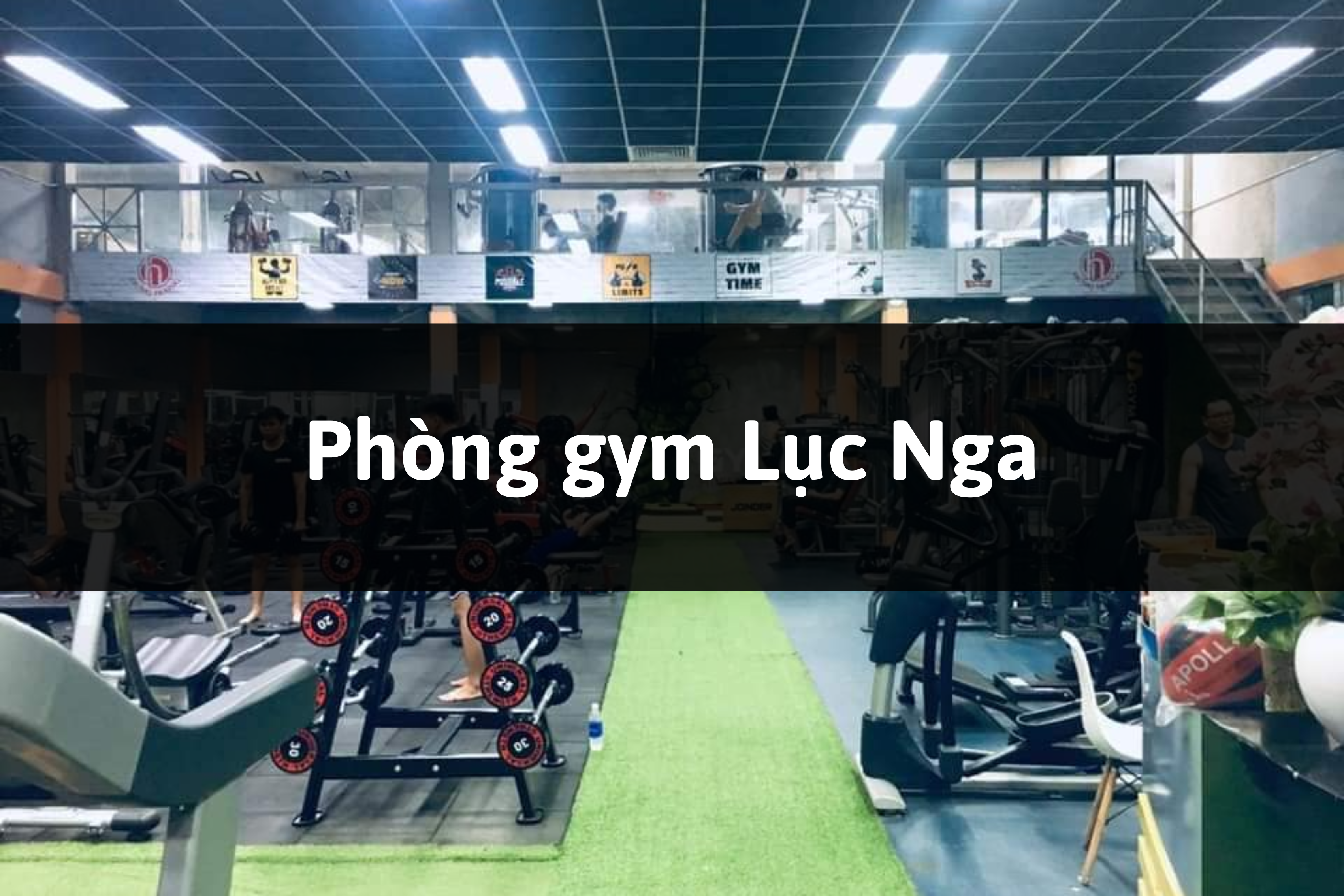 Phòng gym Lục Nga, Tân Kỳ, Nghệ An