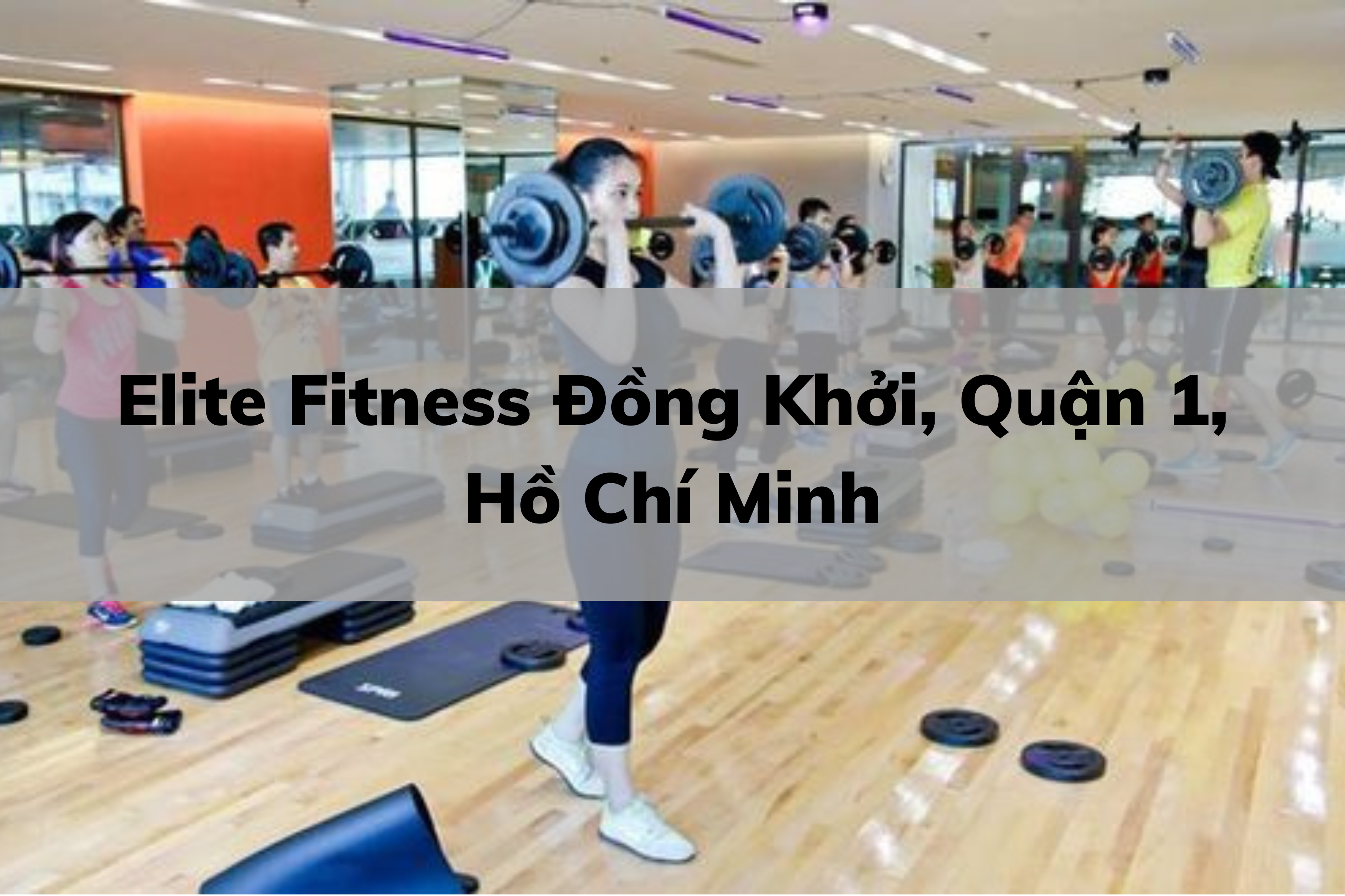 Elite Fitness Đồng Khởi, Quận 1, Hồ Chí Minh