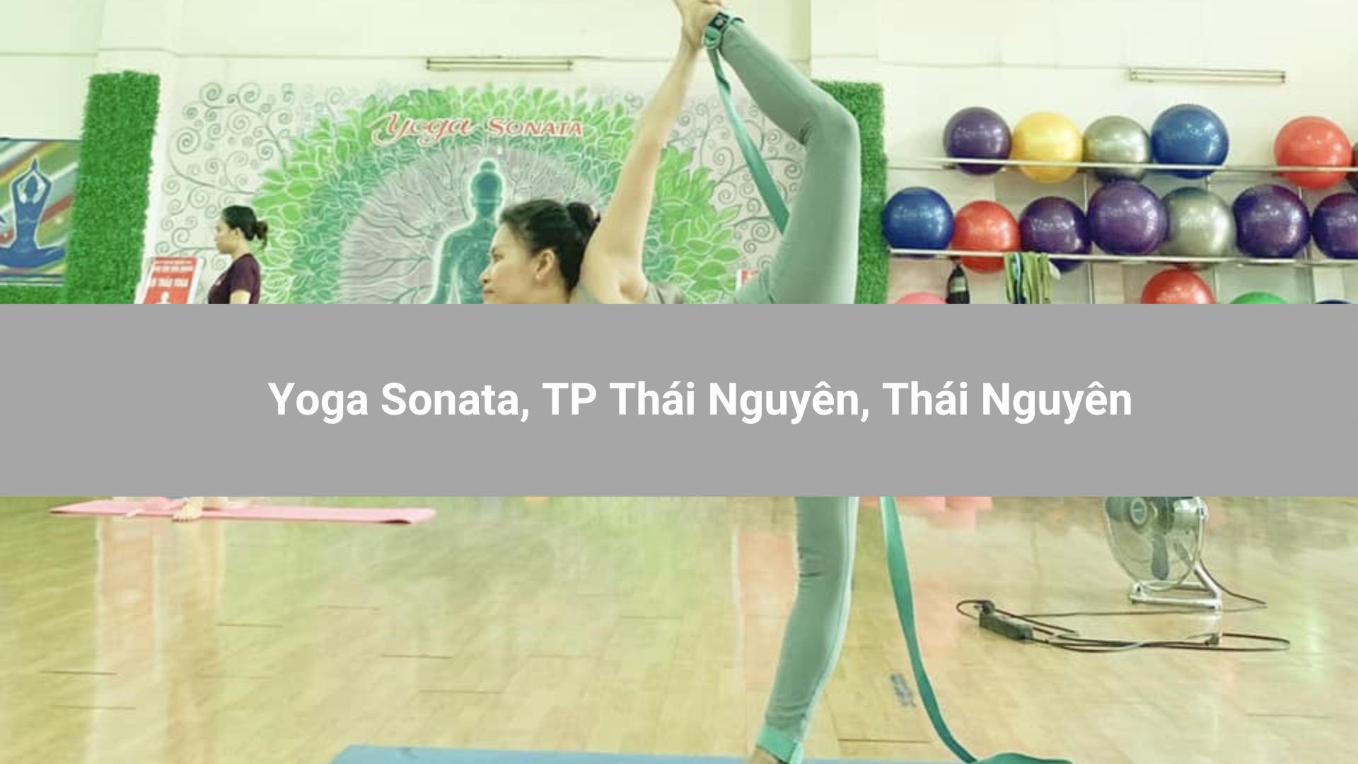 Yoga Sonata, TP Thái Nguyên, Thái Nguyên