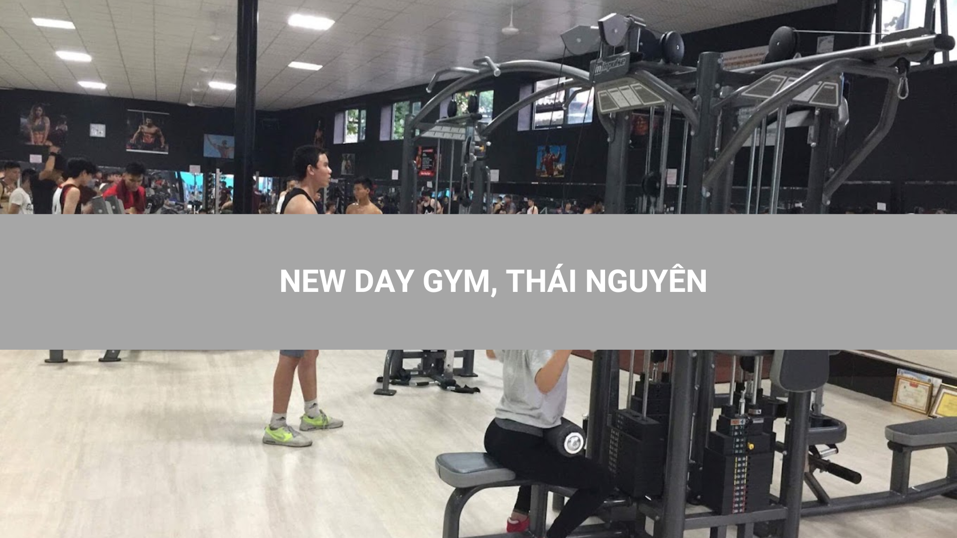 NEW DAY GYM, THÁI NGUYÊN