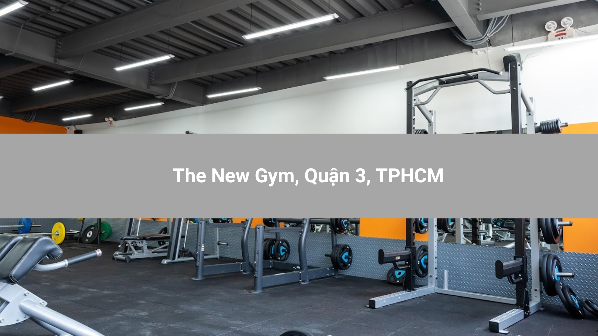 The New Gym, Quận 3, TPHCM