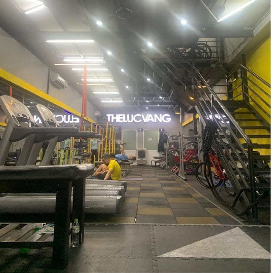 GYM THỂ LỰC VÀNG