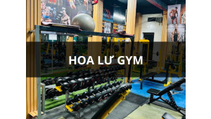 Hoa Lư Gym - clb thể hình & fitness hoa lư, Quận 1, HCM