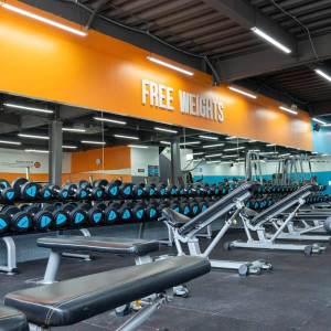 The New Gym Quận 7